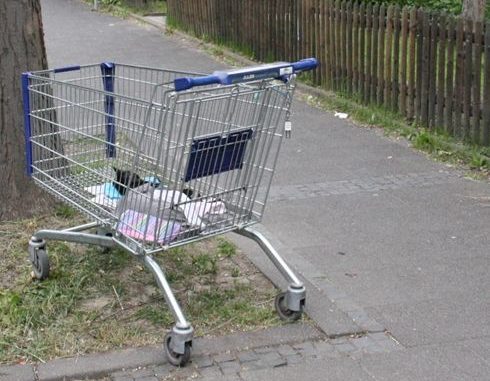 tote Katze in Einkaufswagen