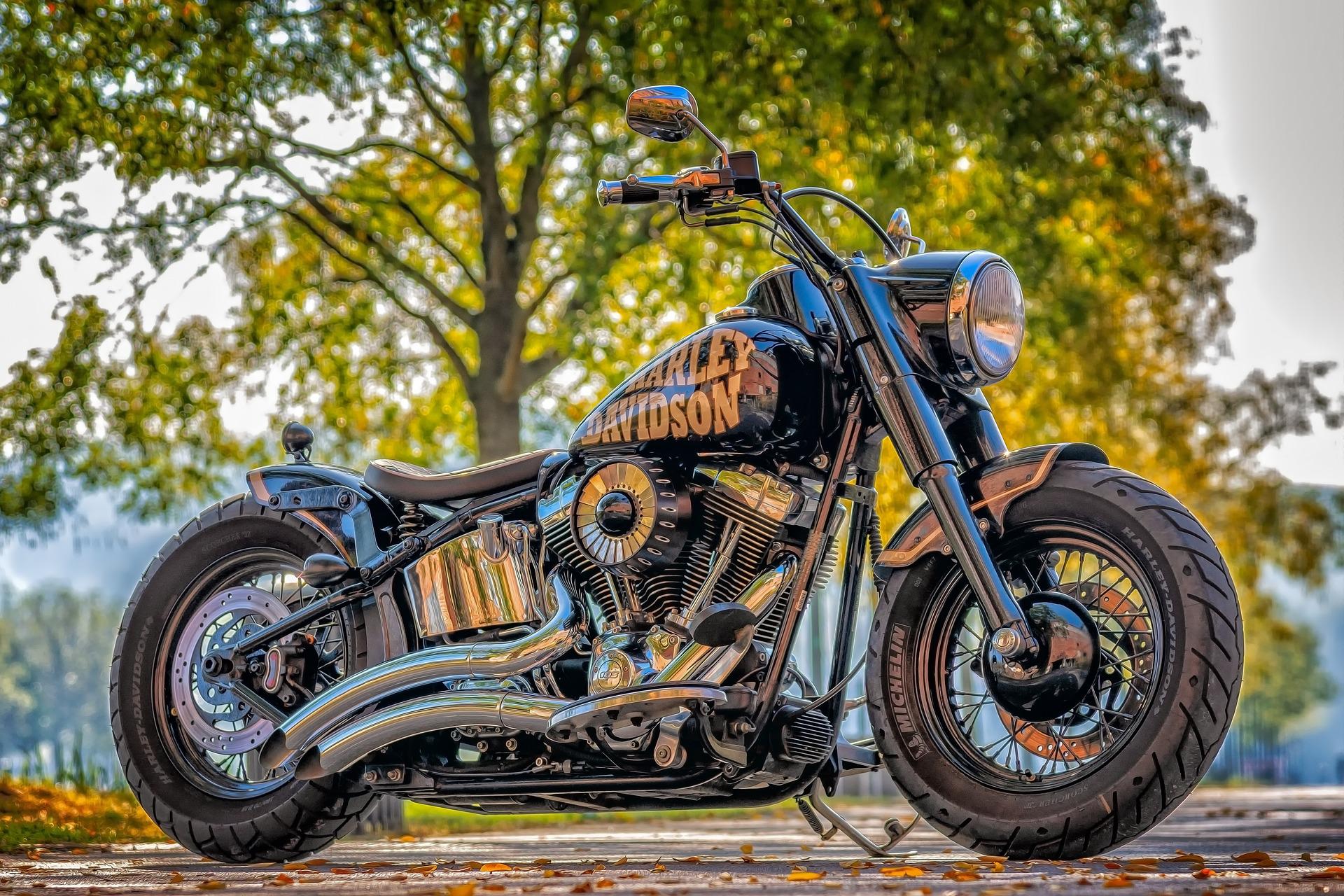 Polizei sucht Zeugen nach Diebstahl eines Harley-Davidson-Motorrades