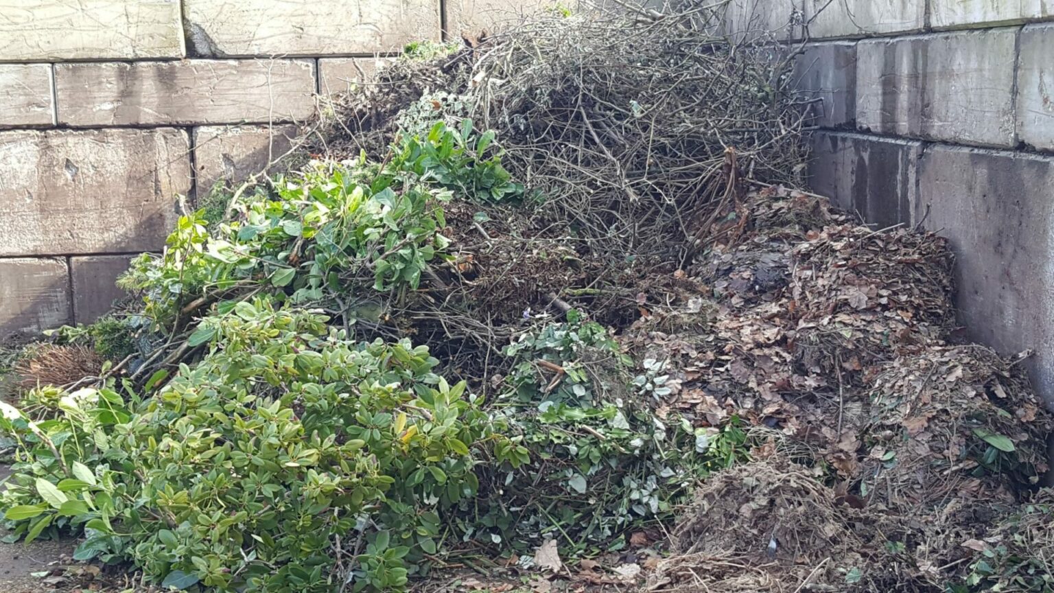 42+ Grünschnitt Kostenlose Entsorgung Für Gartenanlagen Gera, Der
