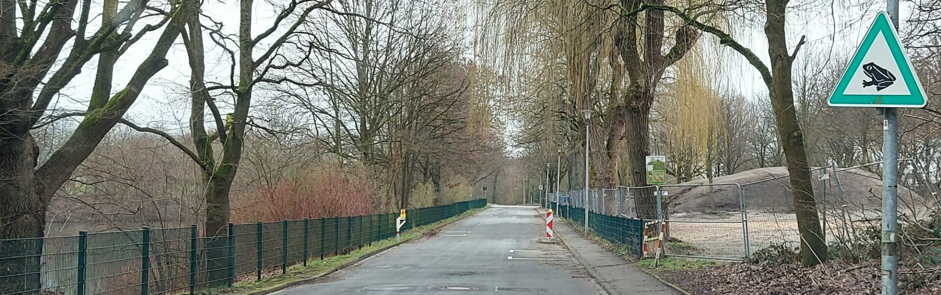 Krötenwanderung: Lichtendorfer Straße temporär gesperrt
